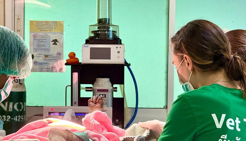 Ob Tiger, Nashornv&ouml;gel oder wie hier ein B&auml;renmakak - die Palette der exotischen Patienten kennt keine Grenzen.