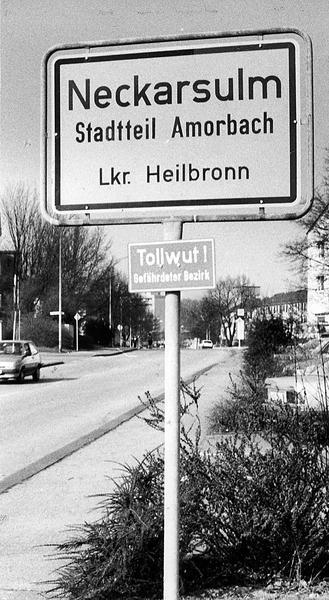 Zusammengestellt von Archiv und Dokumentation der Heilbronner Stimme 

Vor 60 Jahren entsteht der größte Stadtteil Neckarsulms. Die Bundesmustersiedlung wird nach dem Amorbacher Feld benannt, das ursprünglich zum Kloster Amorbach im Odenwald gehörte.