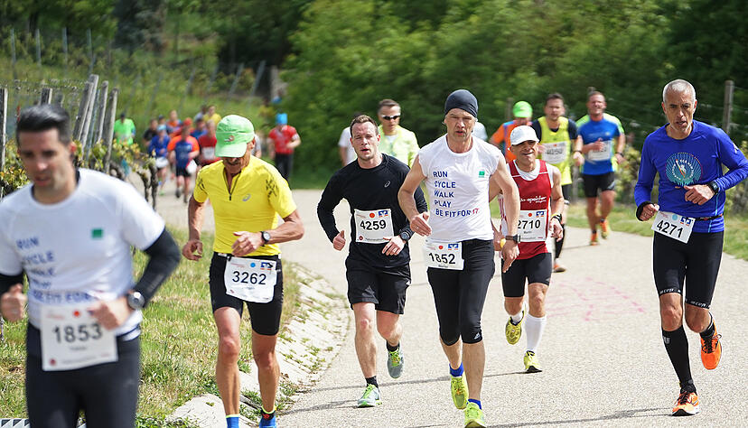 Trollinger-Halbmarathon | Flein/Talheim