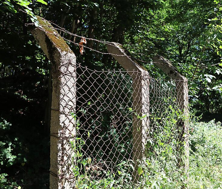 Zaun und Maschendraht schützten den Bunkerwald während seiner aktiven Zeit. An den drei Eingängen waren Soldaten postiert.