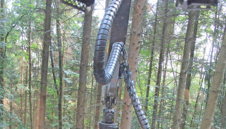 Das Schwert am Aggregat schnalzt heraus und s&auml;gt ein St&uuml;ck ab. Der Maschinenf&uuml;hrer erkennt auf seinem Bildschirm Durchmesser, L&auml;nge und Sortiment.