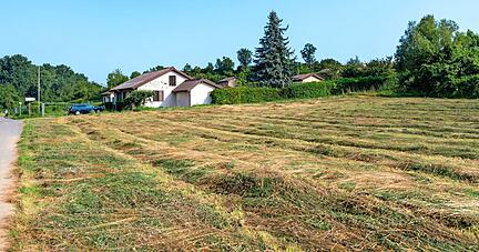 Zwischen Tennisplatz und Kleintierzuchtanlage direkt am Weg oder weiter oben am Sandberg bieten sich Flächen für den Bauwagen an.
Foto: Mario Berger Zwischen Tennisplatz und Kleintierzuchtanlage direkt am Weg oder weiter oben am Sandberg bieten sich Flächen für den Bauwagen an.
Foto: Mario Berger