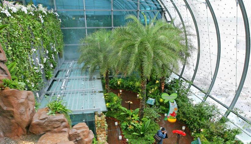 Der Flughafen Singapur-Changi bietet Reisenden w&auml;hrend der Wartezeit einen Garten mit Schmetterlingen.