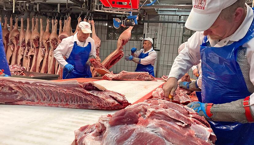 Alle 20 Sekunden landet eine Schweinehälfte auf dem Zerlegetisch. Die aus Serbien und Polen stammende Mitarbeiter schneiden die Fleischstücke zurecht. Alle 20 Sekunden landet eine Schweinehälfte auf dem Zerlegetisch. Die aus Serbien und Polen stammende Mitarbeiter schneiden die Fleischstücke zurecht.