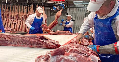 Alle 20 Sekunden landet eine Schweinehälfte auf dem Zerlegetisch. Die aus Serbien und Polen stammende Mitarbeiter schneiden die Fleischstücke zurecht.