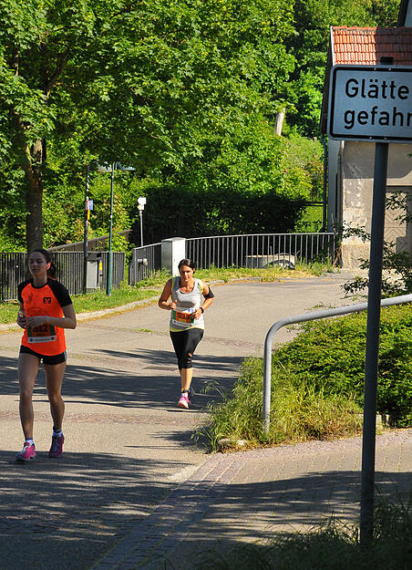 Trollinger Marathon in Lauffen
