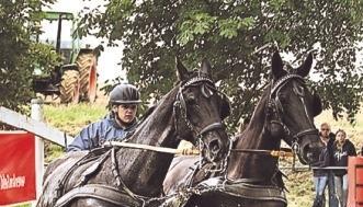 Unter anderem durch Wassergr&auml;ben m&uuml;ssen die Pferde die Kutschen ziehen.