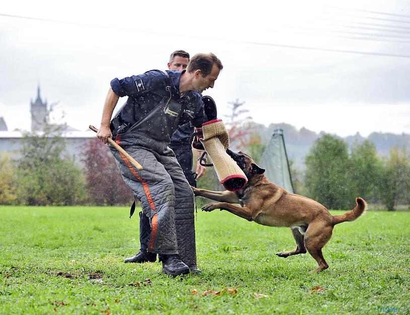 Polizeihundstaffel Offenau Polizeihundstaffel Offenau