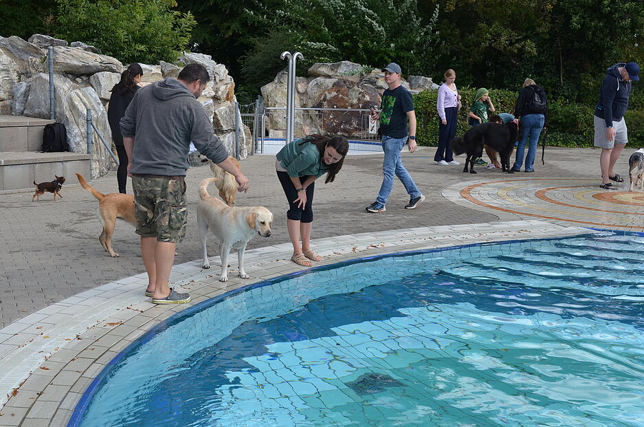 Nach Saisonende gehört das Wasser im Freibad Gesundbrunnen in Heilbronn den Hunden.