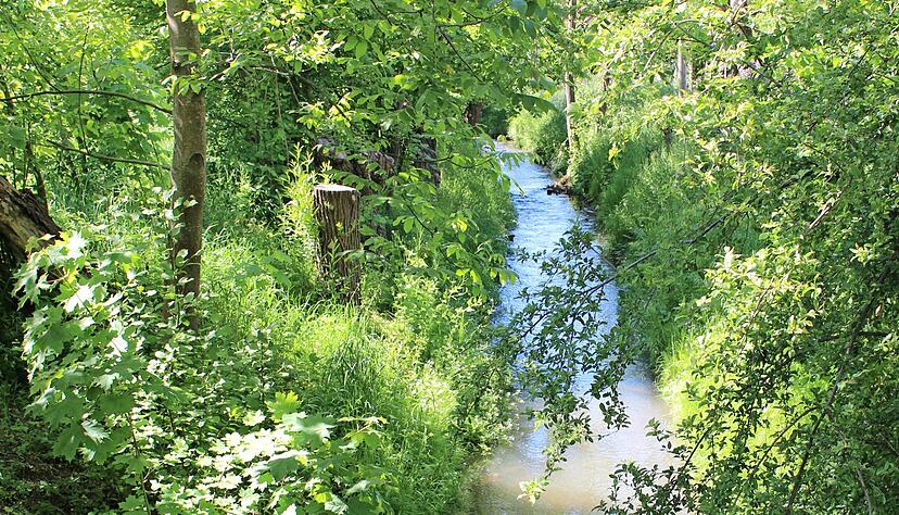 Der B&ouml;llinger Bach ist eine beliebte Spazierstrecke f&uuml;r die Biberacher. Nachmittags sind hier Eltern mit ihren Kindern unterwegs.