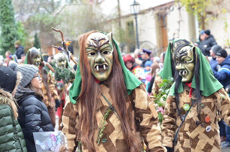 Faschingsumzug Brackenheim