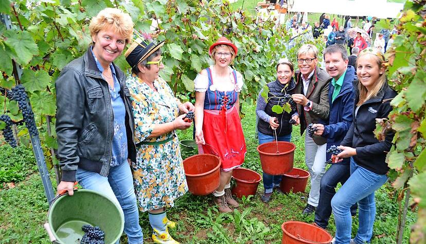 Helfer im Weinberg: Stadtr&auml;tin Katharina Krehl, die Bliemlich Erika und R&ouml;sle, Weinprinzessin Verena Heyer, Entertainer Hansy Vogt, Oberb&uuml;rgermeister Thilo Michler und Weink&ouml;nigin Isabel H&uuml;tter.Foto: Torsten B&uuml;chele