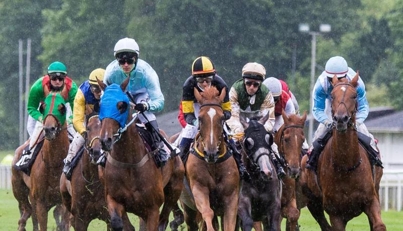 Im Regen galoppieren die Jockeys auf ihren Pferden &uuml;ber die Rennbahn in Hamburg-Horn.