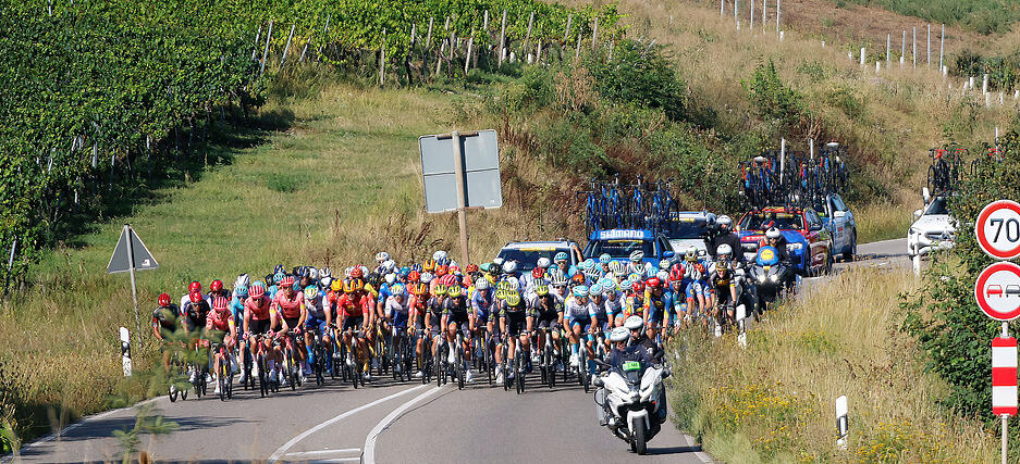Das Fahrerfeld rollt am Wartberg vorbei. Das Fahrerfeld rollt am Wartberg vorbei.