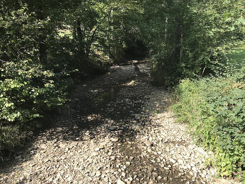 In den vergangenen drei Jahren hat es so wenig geregnet, dass das Bachbett ausgetrocknet ist.