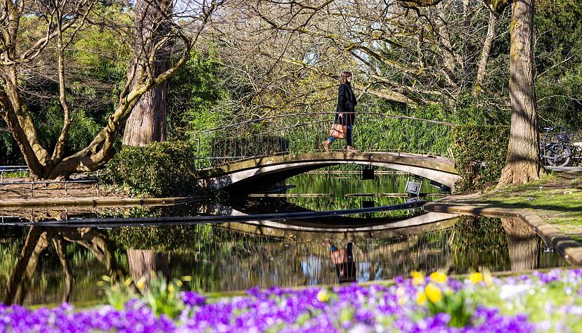 Das Wetter in Baden-W&uuml;rttemberg ist fr&uuml;hlingshaft. (Archivbild)
