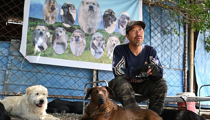 Huzi hatte zehn Jahre in Peking gearbeitet, bevor er entschied, sich nur noch um Hunde zu k&uuml;mmern.