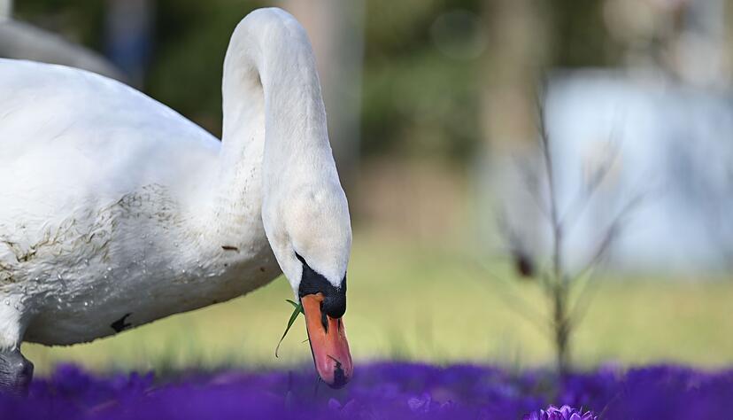 Nach dem fr&uuml;hlingshaften Wetter der vergangenen Tage wird es wechselhafter.
