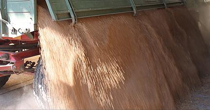 So oder so ähnlich sieht es aus: Doch wo genau für den Ernstfall Getreide und Grundnahrungsmittel lagern, ist geheim. Plünderei soll verhindert werden.