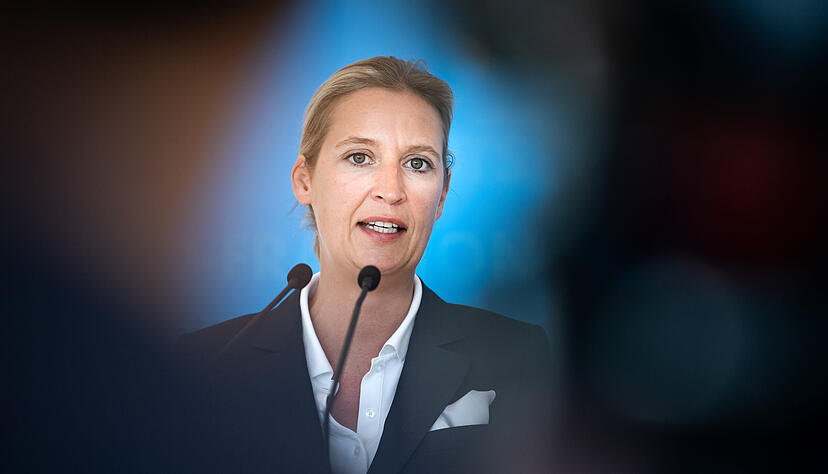 Alice Weidel, Vorsitzende der AfD-Bundestagsfraktion. Foto: dpa Alice Weidel, Vorsitzende der AfD-Bundestagsfraktion. Foto: dpa