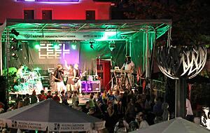 Unter dem Motto &quot;Drei Tage wach in Eberbach&quot; werden am kommenden Wochenende wieder 15 000 Besucher zum Gassenfest erwartet.Foto: privat