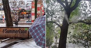 Feiner Wassernebel in der Sommerzone: Die mobile Anlage in der Lohtorstraße soll bei Hitze für Abkühlung sorgen – doch warum lief sie zuletzt auch bei Regen?