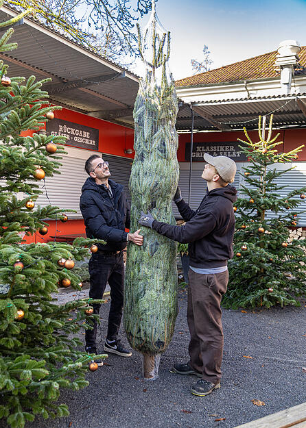Die Aufbauarbeiten für Winterzauber am Trappensee laufen.