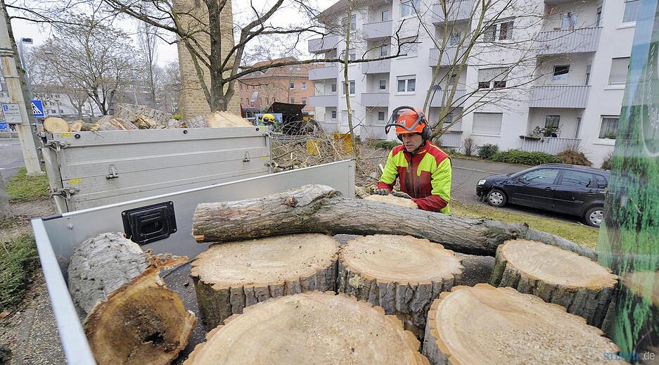 Sturmsch&auml;den in der Region