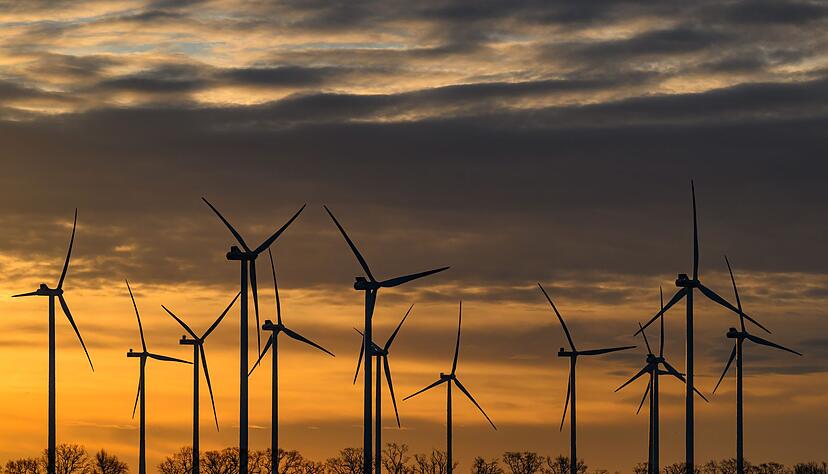 Der Stromanbieter hat &Ouml;kostrom-Tarife im Angebot? Das muss nicht unbedingt hei&szlig;en, dass er sich auch am Ausbau erneuerbarer Energien beteiligt.