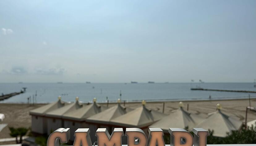 In Italien hat die Finanzpolizei Aktien des weltweit tätigen Likörherstellers Campari im Wert von 1,2 Milliarden Euro beschlagnahmt.