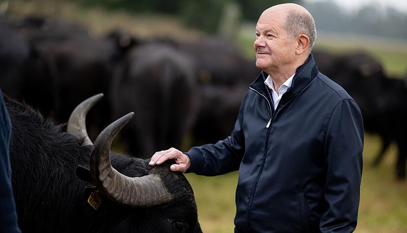 Hat als einfacher Abgeordneter nun mehr Zeit: Der frühere Bundeskanzler Olaf Scholz (SPD). (Archivbild) Hat als einfacher Abgeordneter nun mehr Zeit: Der frühere Bundeskanzler Olaf Scholz (SPD). (Archivbild)