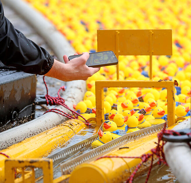 Entenrennen beim Heilbronner Lichterfest Entenrennen beim Heilbronner Lichterfest