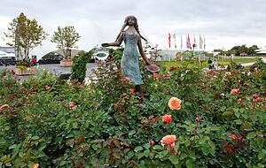 Die Rosenstöcke aus dem Buga-Rosengarten bleiben den Heilbronnern erhalten - nur an anderer Stelle. Die Rosenstöcke aus dem Buga-Rosengarten bleiben den Heilbronnern erhalten - nur an anderer Stelle.