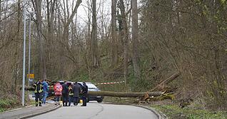 Rettungskr&auml;fte stehen an der Unfallstelle bei Waiblingen. Ein Autofahrer ist get&ouml;tet worden, als ein Baum in Waiblingen auf seinen fahrenden Wagen st&uuml;rzte.