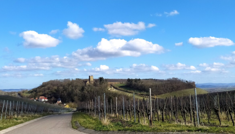 Diesen traumhaften Blick auf Burg Neipperg gibt es am Anfang der Tour.