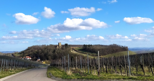Diesen traumhaften Blick auf Burg Neipperg gibt es am Anfang der Tour. Diesen traumhaften Blick auf Burg Neipperg gibt es am Anfang der Tour.
