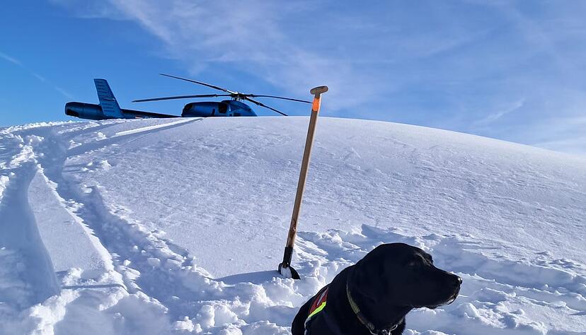 Auch Hunde waren nach dem Lawinenabgang am Finsterkopf im Einsatz.