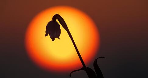 Saharastaub k&ouml;nnte den Himmel bunt f&auml;rben.