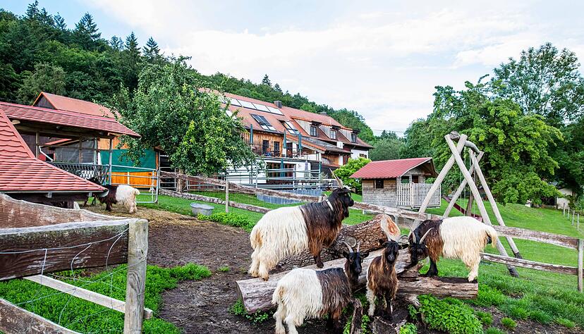 Im Südwesten gibt es nach Ministeriumsangaben mehr als 1500 Bauernhöfe mit Ferienangeboten. (Archivbild)