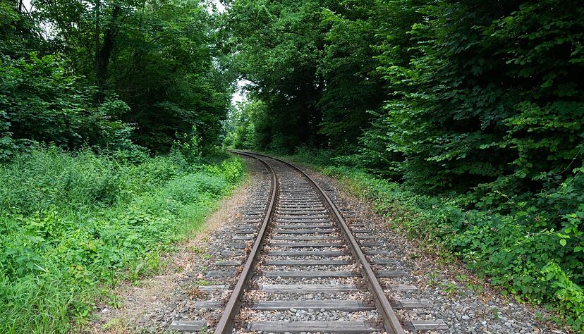 Der Verband Deutscher Verkehrsunternehmen (VDV) sowie der Interessenverband Allianz pro Schiene ziehen eine Zwischenbilanz: Seit der Bundestagswahl 2021 ist bislang kein Schienenabschnitt in Deutschland reaktiviert worden. Der Verband Deutscher Verkehrsunternehmen (VDV) sowie der Interessenverband Allianz pro Schiene ziehen eine Zwischenbilanz: Seit der Bundestagswahl 2021 ist bislang kein Schienenabschnitt in Deutschland reaktiviert worden.