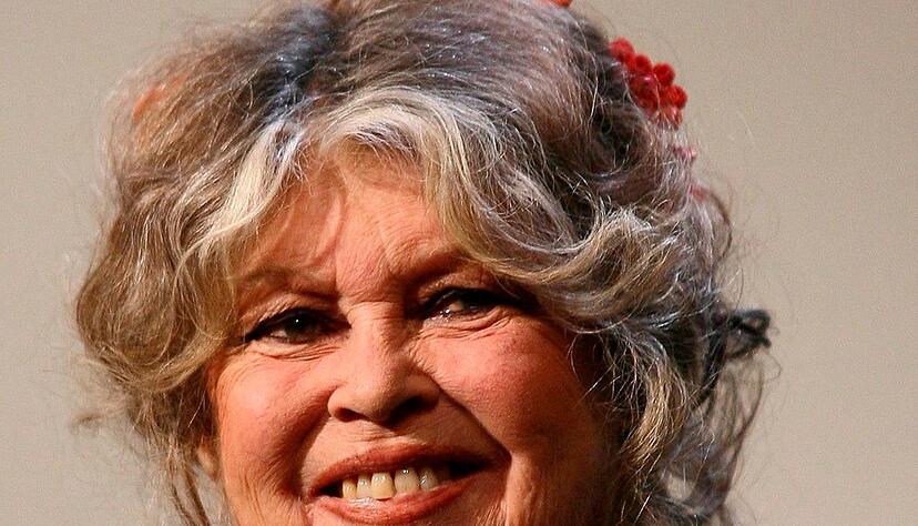 Ein weiterer Grund f&uuml;r ihren R&uuml;ckzug: Bardot wollte nicht auf der Leinwand altern.