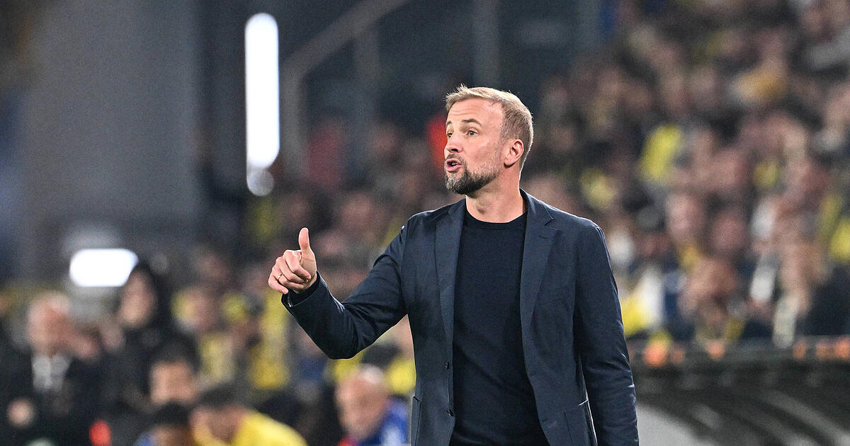 Mega rotation at VfB Stuttgart - | Hoeneß is taking a huge risk with the ...