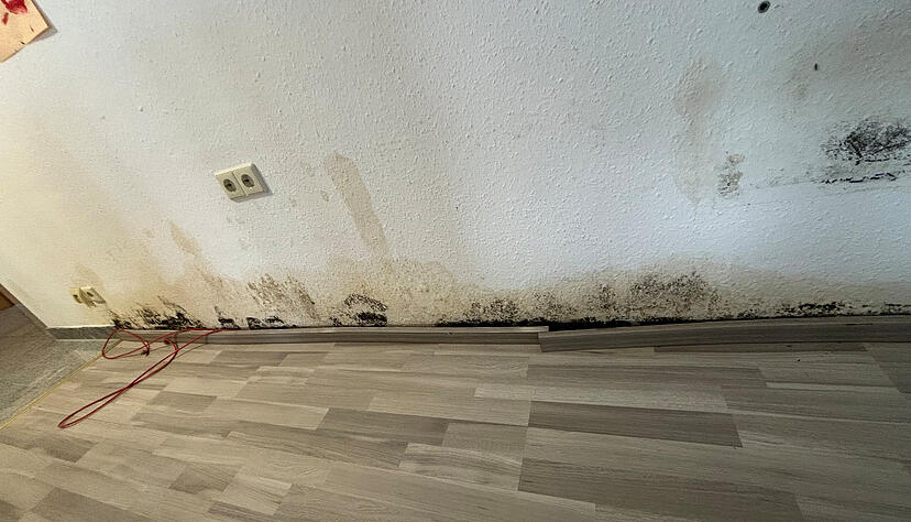 Eine undichte Druckleitung in einer Wohnung eines Mehrfamilienhauses in Brackenheim hat f&uuml;r Schimmelbildung und einen immensen Schaden gesorgt. Seit Monaten leben die Mieter in einem Ausweichquartier.