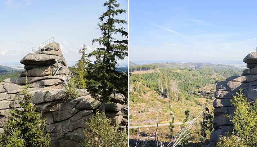 Der Ottofelsen im Harz 2014 und 2023: Seit 2018 gibt es im Harz ein immenses Baumsterben. Damals warf ein Orkan zahlreiche B&auml;ume um. Das Totholz in Verbindung mit der Trockenheit in den vergangenen Jahren f&uuml;hrte zu einer besonders starken Ausbreitung des Borkenk&auml;fers und zu einem massiven Fichtensterben.