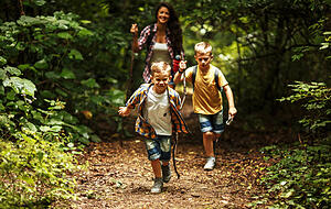 Auf in den Wald! Foto: BalanceFormCreative/stock.adobe.com Auf in den Wald! Foto: BalanceFormCreative/stock.adobe.com