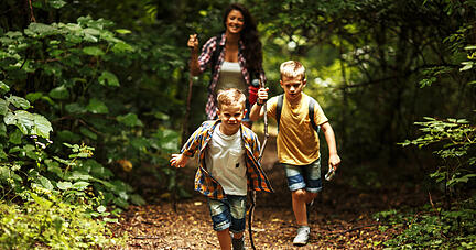 Auf in den Wald! Foto: BalanceFormCreative/stock.adobe.com