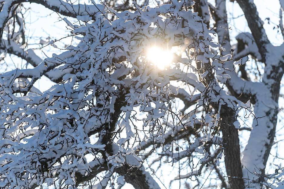 Winterimpressionen aus der Region und dem Land