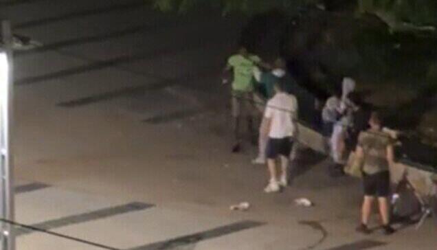 Um die Flügelnuss kam es vor allem in Sommer nachts immer wieder zu Ruhestörungen. Um die Flügelnuss kam es vor allem in Sommer nachts immer wieder zu Ruhestörungen.