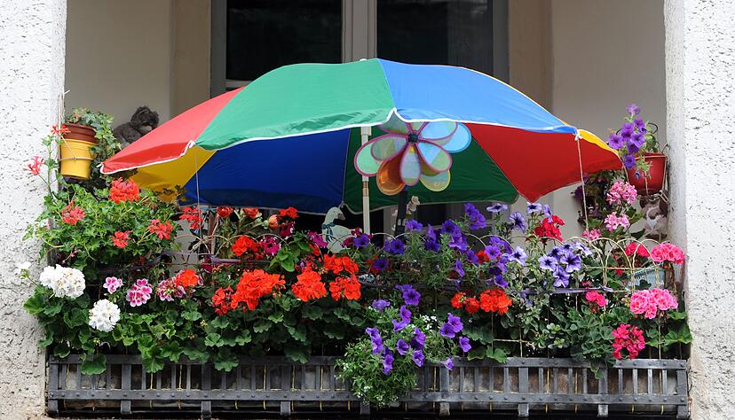 So sch&ouml;n bunt hier: In der Auswahl der Pflanzen sind Mieter nicht limitiert, solange sie R&uuml;cksicht auf die Nachbarn nehmen.