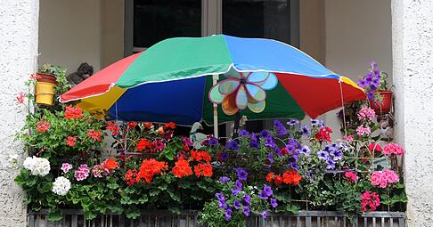 So sch&ouml;n bunt hier: In der Auswahl der Pflanzen sind Mieter nicht limitiert, solange sie R&uuml;cksicht auf die Nachbarn nehmen.